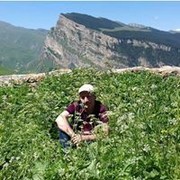 ���������� ������, ���� ������� �����, 53 ����, ������������ ��� ������, ����� � ���������, c�������� ���������, ���������