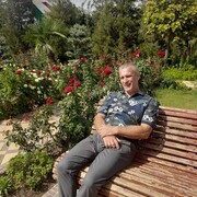 ���������� ������, ���� ������� ���, 50 ���, ������������ ��� ������, ����� � ���������