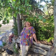 ���������� ��������, ���� ������� �����, 62 ����, ������������ ��� ������, ����� � ���������