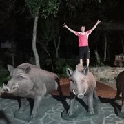 ���������� �������-����������, ���� ������� ����������, 36 ���, ������������ ��� ������, ����� � ���������, c�������� ���������, ���������