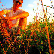 ���������� �������, ���� ������� Nicu, 32 ����, ������������ ��� ������, ����� � ���������, c�������� ���������