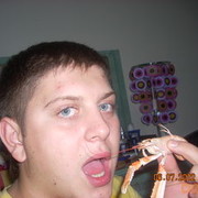 ���������� ����, ���� ������� �������, 36 ���, ������������ ��� ������, ����� � ���������, c�������� ���������