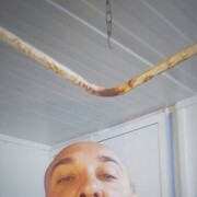 ���������� �������-����������, ������� ������, 44