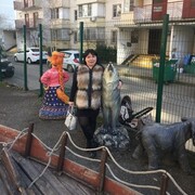 ���������� ���������, ���� ������� �������, 40 ���, ������������ ��� ���������