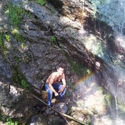 ���������� �������, ���� ������� D a v i t, 36 ���, ������������ ��� ������, ����� � ���������, c�������� ���������