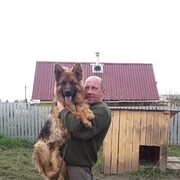  -,   , 41 ,   ,   