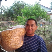  ,   Khazim, 55 ,   ,   , c 