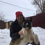 ���������� ������, ���� ������� �������, 49 ���, ������������ ��� ������, ����� � ���������