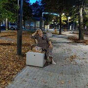 ���������� ���������, ���� ������� ����, 47 ���, ������������ ��� c�������� ���������