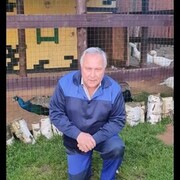  -,   , 71 ,     , c 