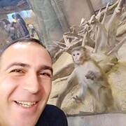  ,   Arti, 35 ,   , 