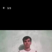 ,   Sanepes, 33 ,   ,   