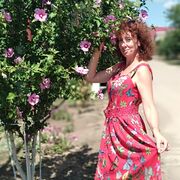 ���������� �����������������, ���� ������� �����, 46 ���, ������������ 