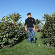 ���������� ����, ���� ������� ����, 43 ����, ������������ ��� ������, ����� � ���������, c�������� ���������