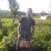  ,   Dima, 41 ,   ,   , c 
