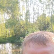 ���������� �������, ���� ������� ���������, 48 ���, ������������ ��� ����� � ���������, c�������� ���������