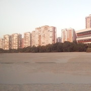  -,   , 39 ,   ,   , c 