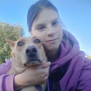 ���������� ���������, ����