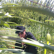 ���������� ������, ���� ������� HOVO, 32 ����, ������������ ��� ������, ����� � ���������, c�������� ���������