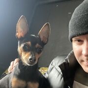 ���������� �����, ���� ������� ������, 34 ����, ������������ ��� ������, ����� � ���������