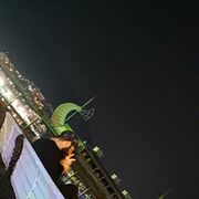 ���������� ����, ���� ������� �����, 37 ���, ������������ ��� ������, ����� � ���������