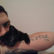 ���������� ���������, ���� ������� ����, 32 ����, ������������ ��� ������, ����� � ���������, c�������� ���������