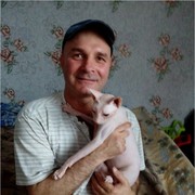  ,   , 46 ,  