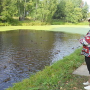 ���������� ���������, ���� ������� �������, 70 ���, ������������ ��� ������, ����� � ���������, c�������� ���������