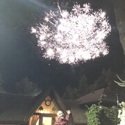 ���������� ����, ���� ������� ������, 28 ���, ������������ ��� ������, ����� � ���������, c�������� ���������