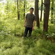 ���������� ������������, ���� ������� Tohirsho, 29 ���, ������������ ��� ������, ����� � ���������, c�������� ���������