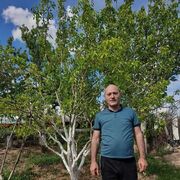 ���������� ������, ���� ������� ����, 52 ����, ������������ ��� ������, ����� � ���������