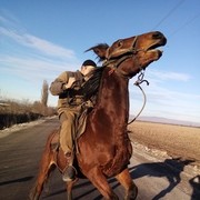 ���������� �����������, ���� ������� ������, 36 ���, ������������ ��� ������, ����� � ���������, c�������� ���������