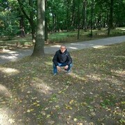 ���������� ������, ���� ������� ������, 38 ���, ������������ ��� ������, ����� � ���������, c�������� ���������