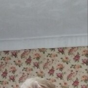  ,   , 56 ,   ,   