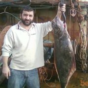 ���������� ����-���������, ���� ������� Matua09, 55 ���, ������������ ��� ����� � ���������, c�������� ���������