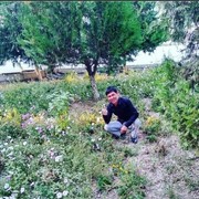 ���������� ������, ���� ������� ���������, 39 ���, ������������ ��� ����� � ���������, c�������� ���������