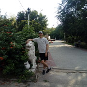  ,   , 38 ,   , 