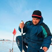 ���������� ��������, ���� ������� ���������, 55 ���, ������������ ��� ������, ����� � ���������, c�������� ���������