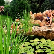 ���������� ����, ���� ������� ��������, 32 ����, ������������ ��� ������, ����� � ���������, c�������� ���������