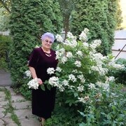  ,   , 61 ,     