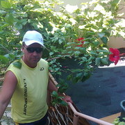  ,   , 60 ,   ,   , c 