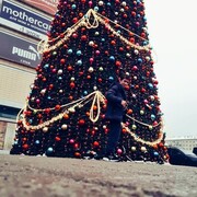 ���������� ������, ���� ������� �������, 26 ���, ������������ ��� ������, ����� � ���������