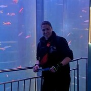 ���������� �����-���������, ���� ������� �����, 39 ���, ������������ ��� ���������