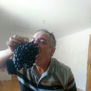  ,   , 61 ,   c 