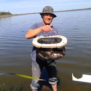 ���������� �����, ���� ������� ������, 44 ����, ������������ ��� ����� � ���������, c�������� ���������