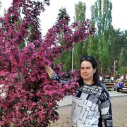 ���������� �������, ���� ������� �����, 49 ���, ������������ ��� ������, ����� � ���������, c�������� ���������, ���������