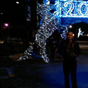 ���������� �����������, ���� ������� ����, 42 ����, ������������ ��� ������, ����� � ���������