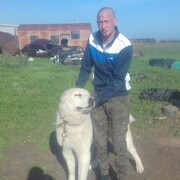 ���������� ����������, ���� ������� ����, 31 ���, ������������ ��� ������, ����� � ���������, c�������� ���������