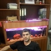  ,  ramzes, 48