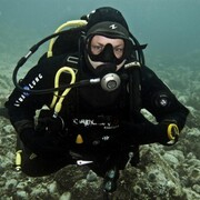 ���������� �����������, ���� ������� �����, 40 ���, ������������ ��� ������, ����� � ���������